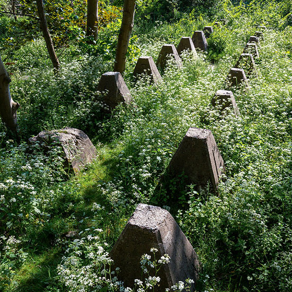 Project Bunker Oranjemolen