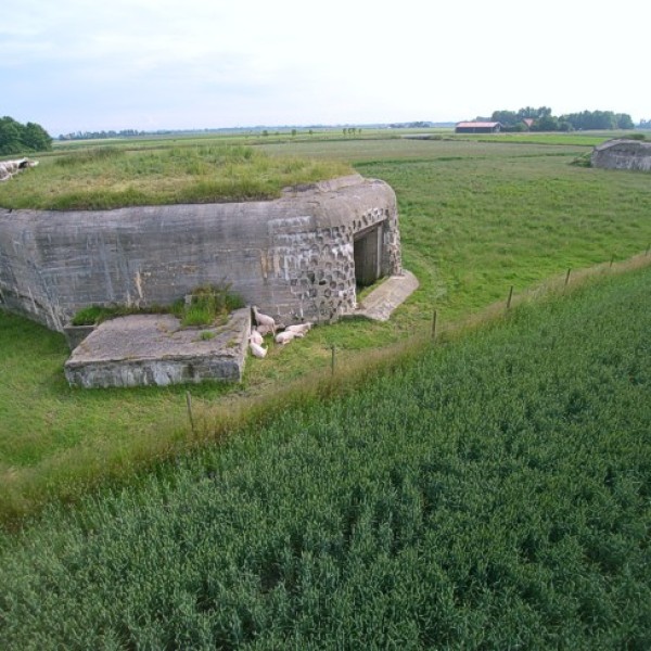 Toevluchtsoord voor een kudde kaalgeschoren schaapjes.